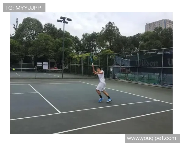 成都网球队以74分领跑杯赛积分榜展现强劲实力与团队合作精神