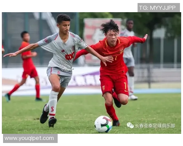 广州足球队在杯赛中的比赛经验与表现分析探讨