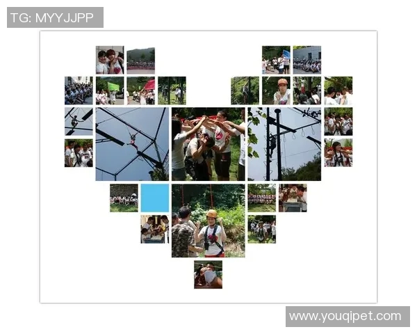 武汉排球队心理素质提升之路：探索运动员心理训练与团队协作的深度融合