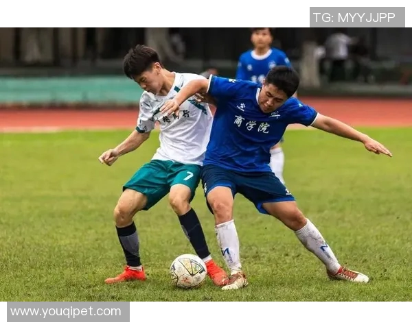 足球明星赛场高清瞬间展现球技与激情的完美结合 足球明星赛场高清瞬间展现球技与激情的完美结合