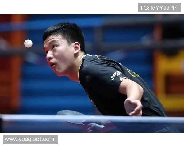 重庆乒乓球队以53分稳居精英赛积分榜首位,展现强劲实力与竞争优势 重庆乒乓球队以53分稳居精英赛积分榜首位,展现强劲实力与竞争优势