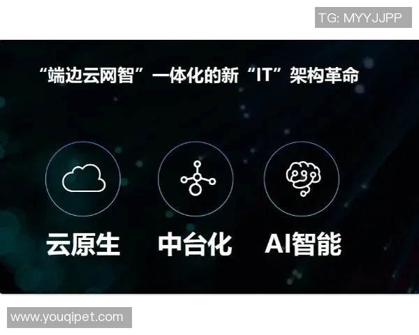 上海排球队引领排球技术革新十大趋势解析