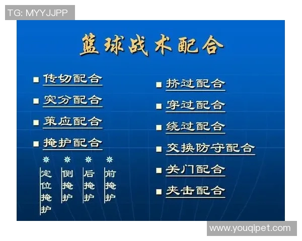 南京篮球队快攻战术解析与实战应用深度分析