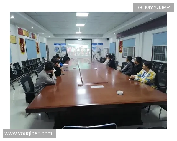 深圳排球队选拔赛特别报道:从默默无闻到耀眼夺冠的奋斗之路 深圳排球队选拔赛特别报道:从默默无闻到耀眼夺冠的奋斗之路