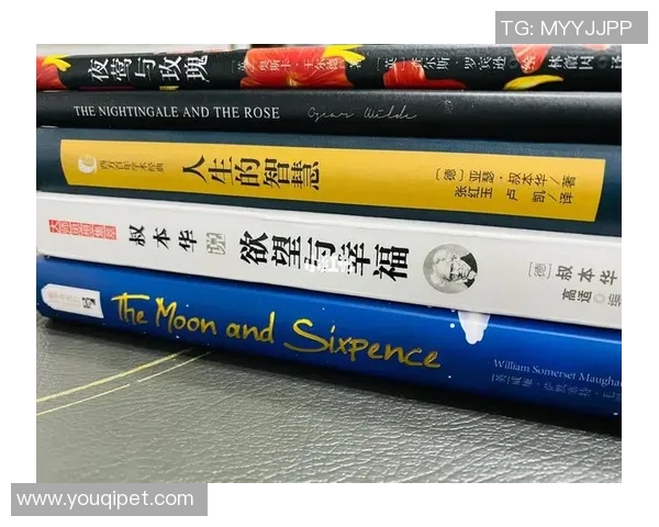 足球明星推荐书单助你提升球技与人生智慧的阅读指南 足球明星推荐书单助你提升球技与人生智慧的阅读指南