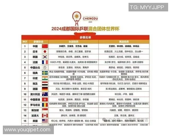 成都乒乓球队比赛经验创新高引发关注助力未来发展新篇章