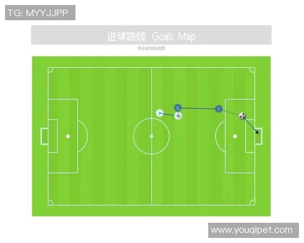 数据分析:武汉足球队的配合表现 数据分析:武汉足球队的配合表现