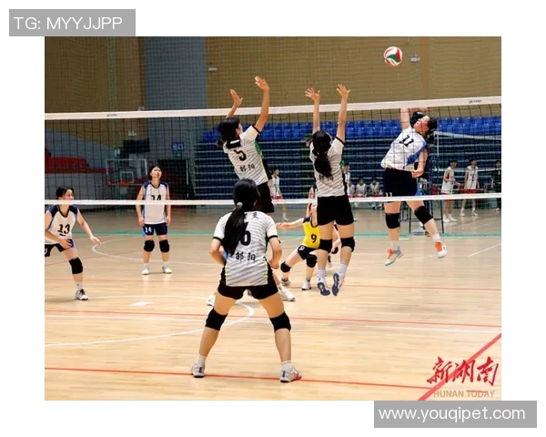 武汉排球队在全国排球灵活性排行榜中荣获第九名展现出色竞技实力与团队合作精神