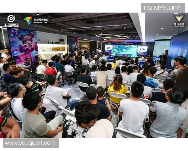 深圳乒乓球队的奋斗与荣耀城市联赛特别报道全景回顾 深圳乒乓球队的奋斗与荣耀城市联赛特别报道全景回顾