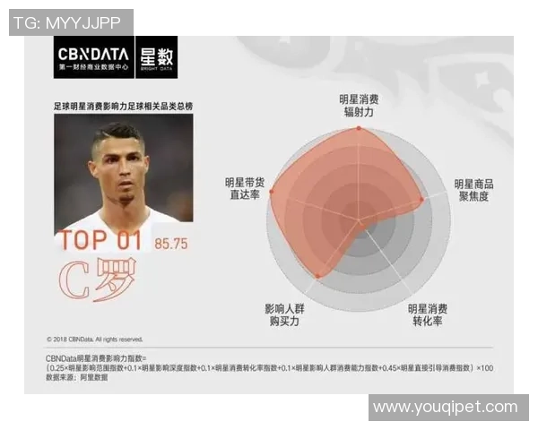 足球明星个人能力的全面解析与影响力探讨 足球明星个人能力的全面解析与影响力探讨
