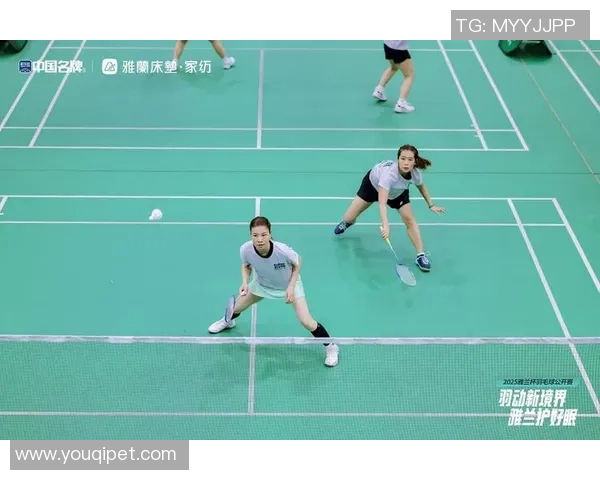 杭州羽毛球队与深圳羽毛球队赛后复盘团队协作的成功与不足分析