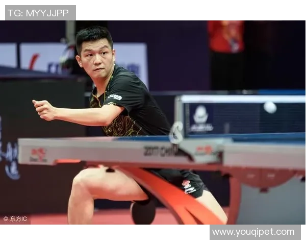 重庆乒乓球队反击战术解析与未来发展展望