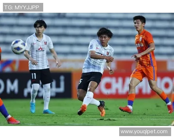 武汉足球队区域防守策略分析与比赛表现的得失探讨 武汉足球队区域防守策略分析与比赛表现的得失探讨