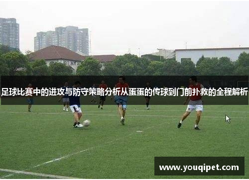 足球比赛中的进攻与防守策略分析从蛋蛋的传球到门前扑救的全程解析