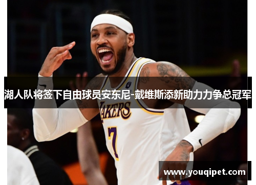 湖人队将签下自由球员安东尼-戴维斯添新助力力争总冠军