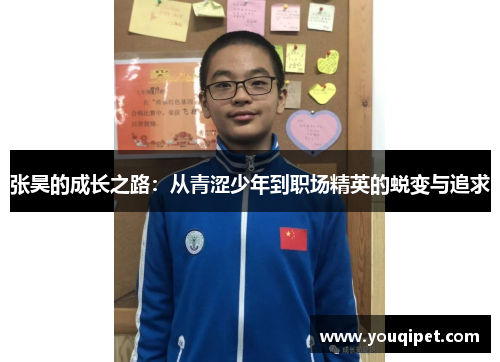 张昊的成长之路：从青涩少年到职场精英的蜕变与追求