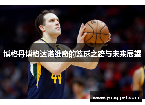 博格丹博格达诺维奇的篮球之路与未来展望